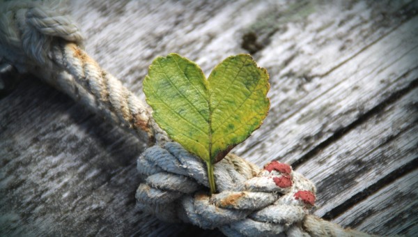 &quot;IN VIAGGIO VERSO L'AMORE&quot;